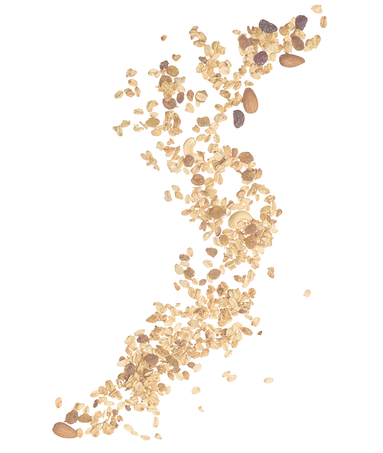 granola2